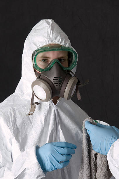 Trusted Northbrook, IL Mold Removal Experts